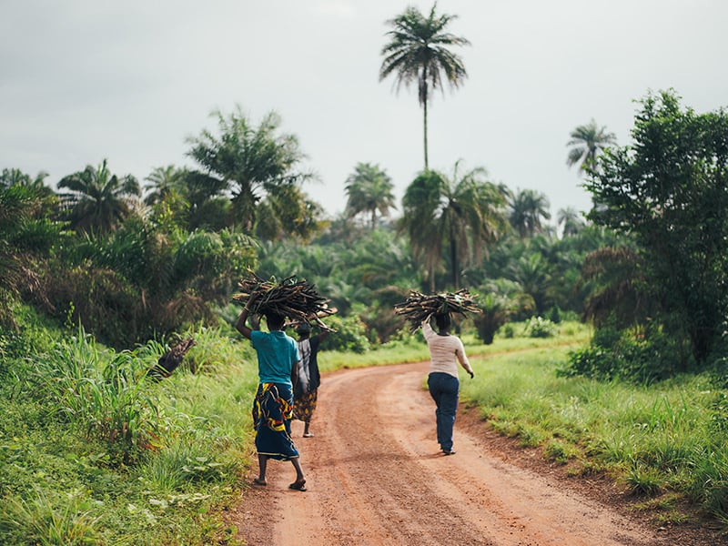 People Walking down a Road Carrying Wood on their Heads 1 People Walking down a Road Carrying Wood on their Heads 1